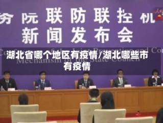 湖北省哪个地区有疫情/湖北哪些市有疫情