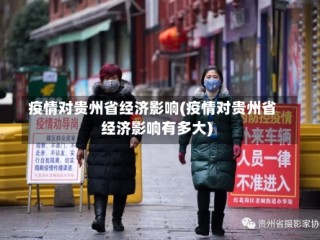 疫情对贵州省经济影响(疫情对贵州省经济影响有多大)