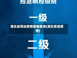 湖北省周边疫情图表查询(湖北各省疫情)