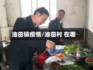 油田镇疫情/油田村 在哪