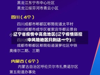 辽宁省疫情中高危地区(辽宁疫情防控中风险地区只剩这一个)