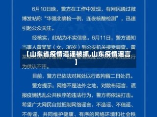 【山东省疫情造谣被抓,山东疫情谣言】