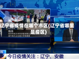 辽宁省疫情在哪个市区(辽宁省哪里是疫区)