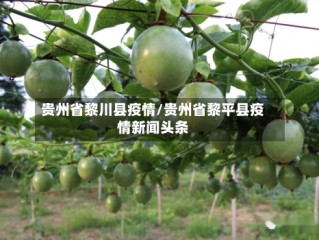 贵州省黎川县疫情/贵州省黎平县疫情新闻头条