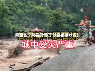陕西省宁陕县疫情(宁陕县疫情状况)
