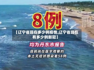 【辽宁省现在多少例疫情,辽宁省现在有多少例新冠】