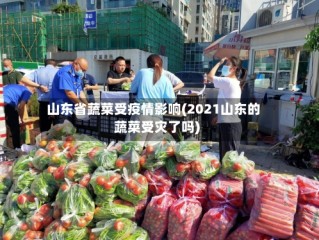 山东省蔬菜受疫情影响(2021山东的蔬菜受灾了吗)