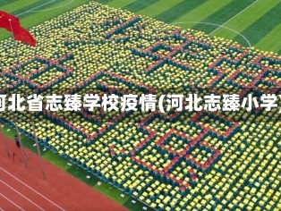 河北省志臻学校疫情(河北志臻小学)