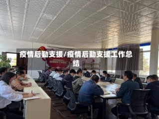 疫情后勤支援/疫情后勤支援工作总结