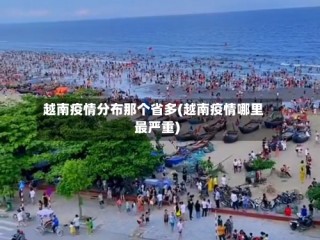 越南疫情分布那个省多(越南疫情哪里最严重)