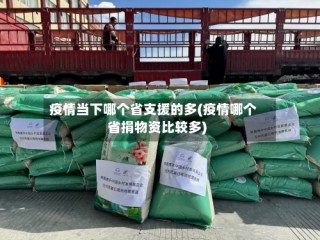 疫情当下哪个省支援的多(疫情哪个省捐物资比较多)