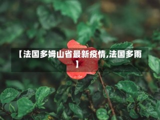 【法国多姆山省最新疫情,法国多雨】
