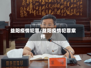 益阳疫情犯罪/益阳疫情犯罪案件