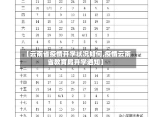 【云南省疫情开学状况如何,疫情云南省教育局开学通知】