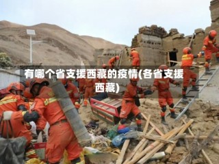 有哪个省支援西藏的疫情(各省支援西藏)