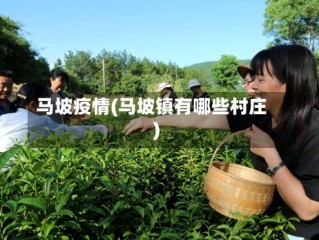 马坡疫情(马坡镇有哪些村庄)