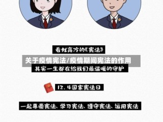 关于疫情宪法/疫情期间宪法的作用