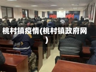 桃村镇疫情(桃村镇政府网)