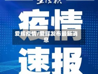 爱辉疫情/爱辉发布最新消息
