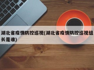 湖北省疫情防控巡视(湖北省疫情防控巡视组长是谁)