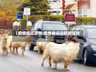 【疫情疯狂动物,疫情期间动物的狂欢】