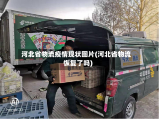 河北省物流疫情现状图片(河北省物流恢复了吗)