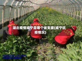 湖北疫情咸宁是哪个省支援(咸宁抗疫情况)
