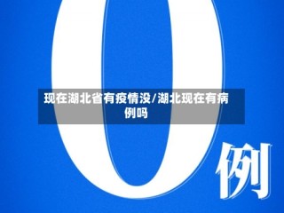 现在湖北省有疫情没/湖北现在有病例吗
