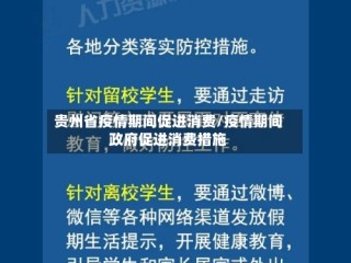 贵州省疫情期间促进消费/疫情期间政府促进消费措施