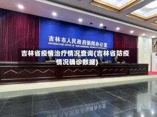 吉林省疫情治疗情况查询(吉林省防疫情况确诊数据)