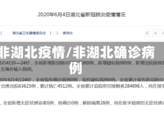 非湖北疫情/非湖北确诊病例