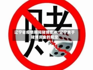 辽宁省疫情期间赌博案件/辽宁关于赌博资金的规定