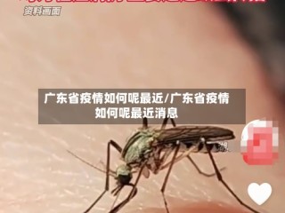 广东省疫情如何呢最近/广东省疫情如何呢最近消息
