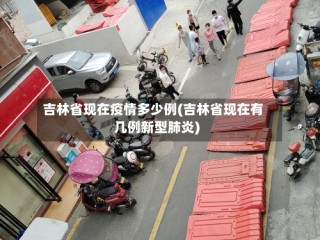 吉林省现在疫情多少例(吉林省现在有几例新型肺炎)