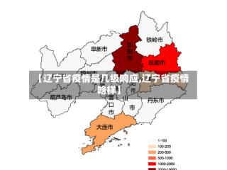 【辽宁省疫情是几级响应,辽宁省疫情啥样】