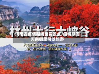 河南省疫情期间免费景点/疫情期间河南哪里可以旅游
