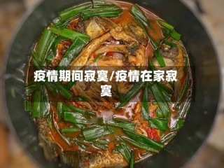 疫情期间寂寞/疫情在家寂寞