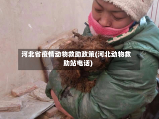 河北省疫情动物救助政策(河北动物救助站电话)