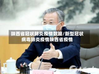 陕西省冠状肺炎疫情数据/新型冠状病毒肺炎疫情陕西省疫情