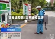 世界城疫情/世界城楼盘详情