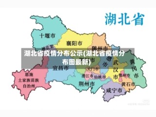 湖北省疫情分布公示(湖北省疫情分布图最新)