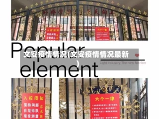 文安疫情情况(文安疫情情况最新)