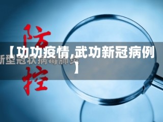 【功功疫情,武功新冠病例】