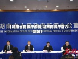 【湖南省商务厅疫情,湖南商务厅官方网站】