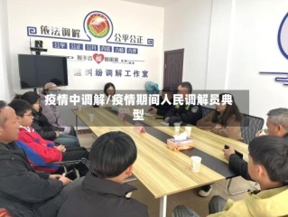 疫情中调解/疫情期间人民调解员典型