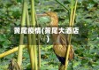 黄尾疫情(黄尾大酒店)