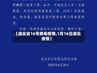 【湖北省16号病毒疫情,1月16日湖北疫情】