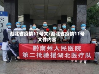 湖北省疫情11号文/湖北省疫情11号文件内容