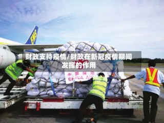 财政支持疫情/财政在新冠疫情期间发挥的作用