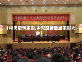 【中央疫情表彰,中央疫情总结表彰大会】